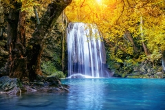 landscape-10