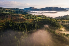 landscape-5