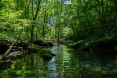 landscape-6
