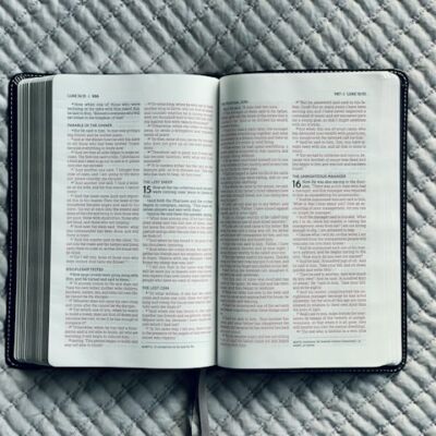 NIV Bible
