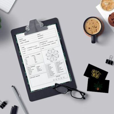 Lorem ipsum PDF